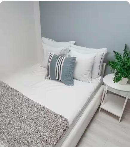 Hostal Alexa Host